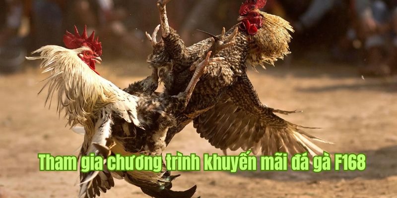 Đá gà F168 mang đến những khuyến mãi hấp dẫn