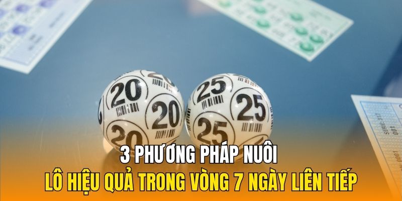 3 phương pháp nuôi lô hiệu quả trong vòng 7 ngày liên tiếp