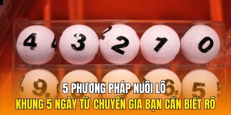 5 phương pháp nuôi lô khung 5 ngày từ chuyên gia bạn cần biết rõ