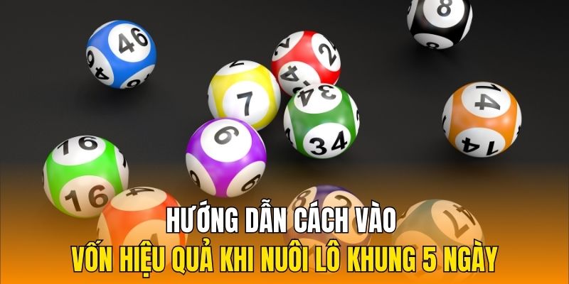 Hướng dẫn cách vào vốn hiệu quả khi nuôi lô khung 5 ngày