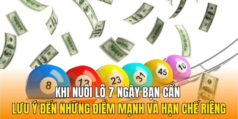 Khi nuôi lô 7 ngày bạn cần lưu ý đến những điểm mạnh và hạn chế riêng