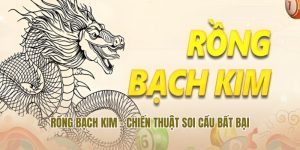 rong bach kim