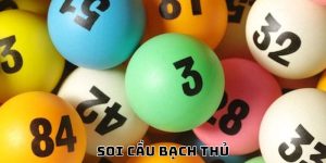 soi cau bach thu