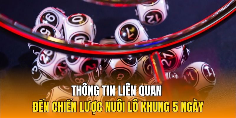 Thông tin liên quan đến chiến lược nuôi lô khung 5 ngày