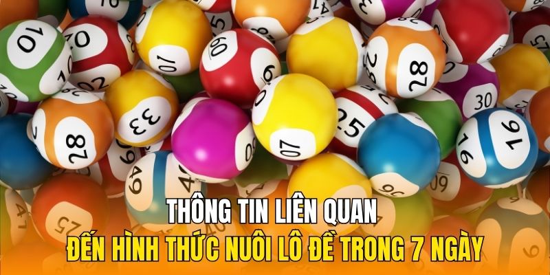 Thông tin liên quan đến hình thức nuôi lô đề trong 7 ngày